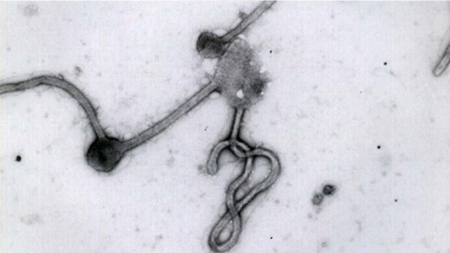 Ebola Source.jpg